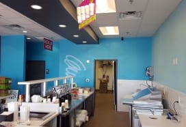 planetsmoothierremodeltampa2