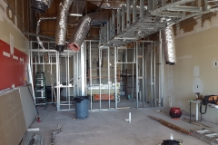 Buildout project in Tampa FL (1)
