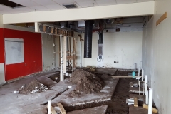 Buildout project in Tampa FL (7)